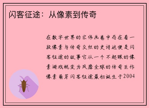 闪客征途：从像素到传奇